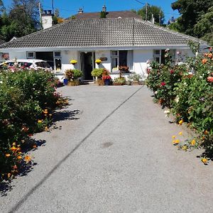 Bed and Breakfast Saint Martin's à Bandon Exterior photo