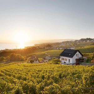 Hotel #Lavaux à Lutry Exterior photo