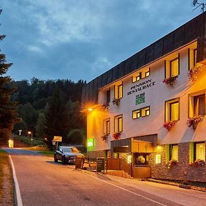 Hotel Pension&restaurace Zelený Mlýn à Žacléř Exterior photo