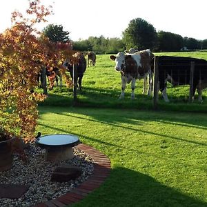 Courtyard Cottage Lockerbie Exterior photo