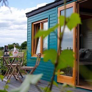 Hotel Tiny House In The Vineyard By Gramofon Wine à Iordachianu Exterior photo