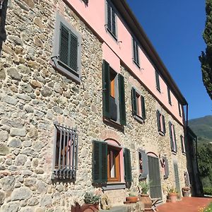 Bed and Breakfast Bed&Breakfast La Madonnina à Marlia Exterior photo