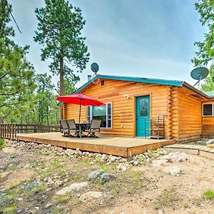 Villa Red Feather Lakes Cabin With Wraparound Deck! Exterior photo