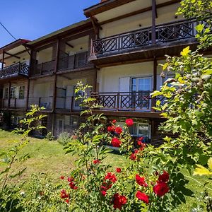 Hotel Ξενοδοχειο Παπαναγιωτου à Neraïdochóri Exterior photo