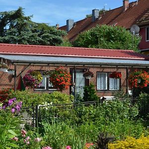 Villa Bungalow Weidling à Hasselfelde Exterior photo