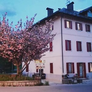 Appartement Casa Ciccarelli à Domegge di Cadore Exterior photo