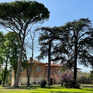 Hotel Chateau Du Go à Albi Exterior photo