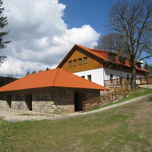 Hotel Skalsky Mlyn à Lísek Exterior photo