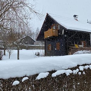 Villa Troadkastn Familie Fritz à Passail Exterior photo