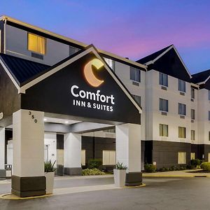 Comfort Inn&Suites Mt Laurel - Philadelphia Mount Laurel Exterior photo