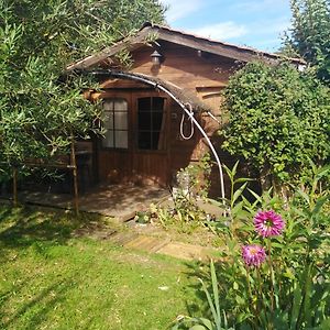 Hotel Le Chalet Du Jardin Cache à Marmande Exterior photo