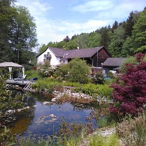 Hotel Urlaubspension Die Muehle à Schöllnach Exterior photo