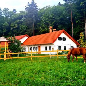 Villa Turisticna Kmetija Hisa Ob Gozdu Pri Ptuju Exterior photo