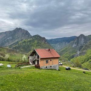 Hotel Family Owned Self Sufficient Eco Farm Tara à Pljevlja Exterior photo