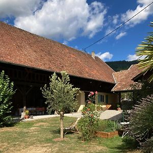 Villa Gite Du Hibou - Jolie Dependance Sur Verger à Muhlbach-sur-Munster Exterior photo