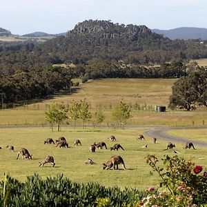 Bed and Breakfast Hanging Rock Views à Woodend Exterior photo