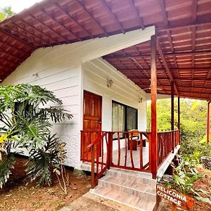 Blue Banyan Inn Quepos Exterior photo