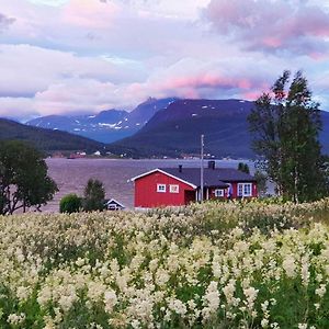 Holiday Home Rossfjordstraumen Exterior photo