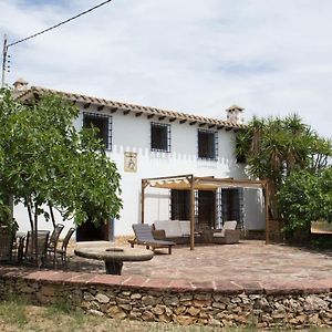 Villa Mas De Paco, Chimenea, Barbacoa Y Piscina à Vall dʼAlba Exterior photo