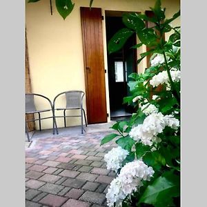 Appartement 30&Lode, Mini In Zona Tranquilla à Udine Exterior photo