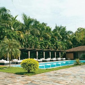 Hotel Kasara Chitwan à Patlahara Exterior photo