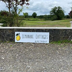 Blueberry Tiny Home Kilmurry McMahon Exterior photo