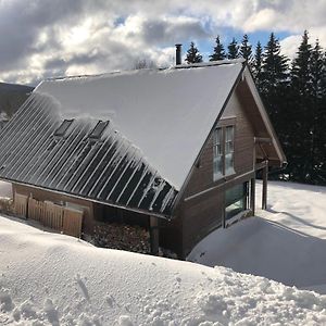 Villa Mountain Chalet à Kořenov Exterior photo