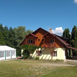 Villa Vila Roseta à Cărbunari Exterior photo