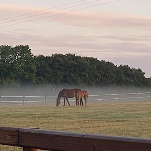 Appartement The Paddocks - Spacious Annexe With Rural Outlook. à Wareham Exterior photo