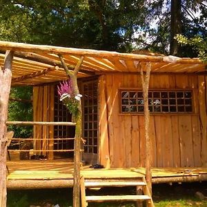 Cabanes Des Landes- Cabane Sur Pilotis Saint-Eloy-les-Tuileries Exterior photo