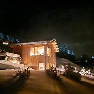 Villa Chalet Ski-In Ski-Out Nendaz Exterior photo