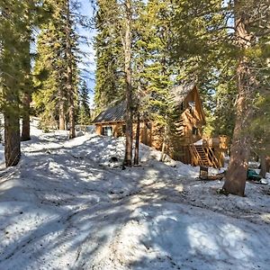 Villa Bear Valley Cabin - Ski To Cross Country Trails! à Tamarack Exterior photo