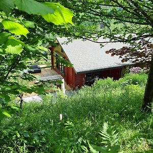 Villa Chalet Coo à Stavelot Exterior photo