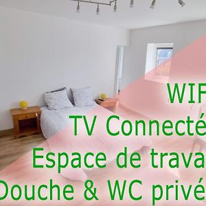 Appartement Studio - Le Petit Chateau Avesnois - Tv - Wifi - Sdb Privee - Cuisine Partagee à Avesnes-sur-Helpe Exterior photo