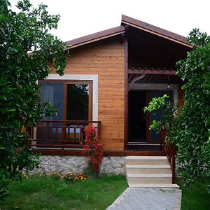 Villa Bilge Çıralı Room photo