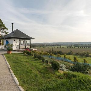 Appartement Ferienhaeuser Im Max-Klinger Weinberg à Naumbourg Exterior photo