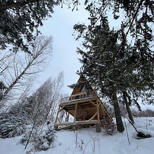 Villa Схованка à Yaremtche Exterior photo