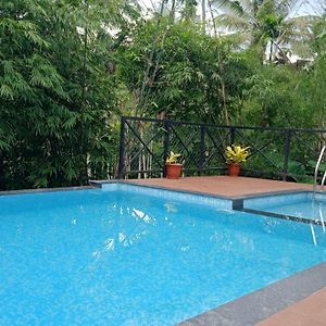 Golden Cypress Resort With Pool -Wayanad Padinjarathara Exterior photo