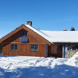 Villa Cozy Log Cabin At Beautiful Nystolsfjellet à Gol Exterior photo