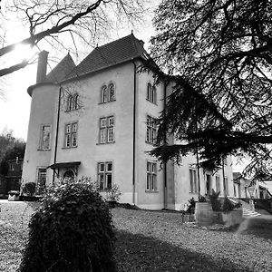 Bed and Breakfast Bed&Breakfast Le Château de Morey à Belleau Exterior photo