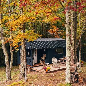 Villa Mountain Brook Cabin à Bovina Exterior photo