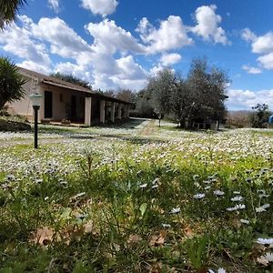 Villa Agriturismo Bio Pian Dei Casali à Saturnia Exterior photo