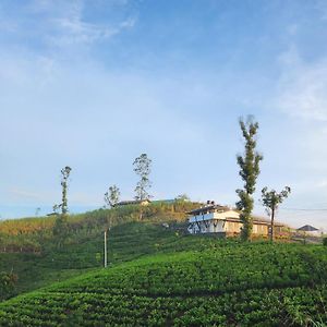 Bed and Breakfast Tranquil Ridge Hilltop Bungalow à Hatton Exterior photo