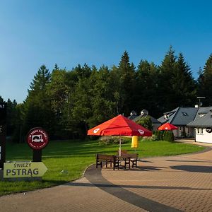 Hotel Pensjonat Orle à Krynica-Zdrój Exterior photo