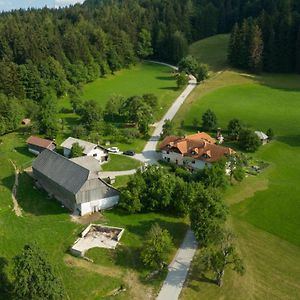 Villa Eco Tourist Farm Ravnjak à Slovenj Gradec Exterior photo