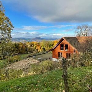 Appartement Wunderschoenes Gaestehaus Mit Grandioser Aussicht à Gempen Exterior photo