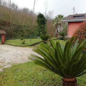 Appartement La Tana Nel Bosco à Durazzano Exterior photo