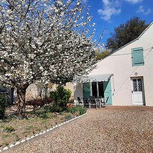 Gite Le Petit Anzan En Indre Et Loire Noizay Exterior photo