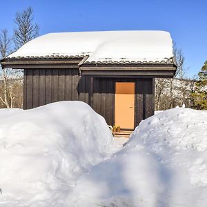 Lovely Home In Geilo With Kitchen Dagali Exterior photo