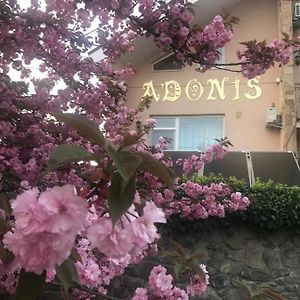 Hôtel Adonis à Oujhorod Exterior photo